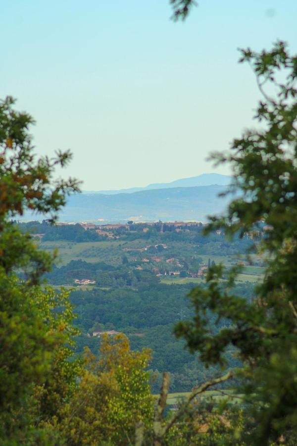Villa Lilia By Let Siena Zewnętrze zdjęcie